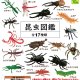 昆虫図鑑再販（５月）【★１００円カプセルトイ　１００個入り　共同】＋正規台紙