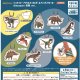 【再販】シュライヒ　アクリルキーホルダー&アンブレラマーカー　恐竜　DINOSAURS ver.（６月）【◇３００円カプセルトイ　４０個入り　セイユー】＋正規台紙