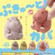 ぷきゅーと！カバ（６月）【◇２００円カプセルトイ　５０個入り　エール】＋正規台紙