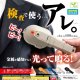 検査で使う...アレ。（６月）【◇４００円カプセルトイ　３０個入り　エール】＋正規台紙