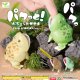 パクっと！バジェットガエル（６月）【◇３００円カプセルトイ　４０個入り　エール】＋正規台紙