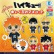 再販 ハイキュー!!ぬいぐるみマスコット（６月）【◇５００円カプセルトイ　３０個入り　ケーツー】＋正規台紙１枚