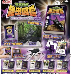 画像1: ミニチュア標本付き昆虫図鑑マスコット　クワガタムシ【バイオレットフレイム】（６月）【◇３００円カプセルトイ　４０個入り　トイスピ】＋正規台紙