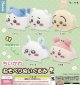 ちいかわ ねそべりぬいぐるみ（再販）（６月）【◇５００円カプセルトイ　２０個入り　パレード】＋正規台紙１枚