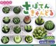 さぼてんきゃんどる（７月）【◆２００円カプセルトイ　５０個入り　サン宝石】＋正規台紙