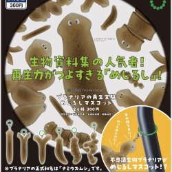 画像1: STC プラナリアの再生実験 めじるしマスコット（７月）【◆３００円カプセルトイ　４０個入り　いきもん】＋正規台紙