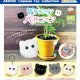 ケサニャンパサニャンポンポンKH（７月）【◆３００円カプセルトイ　４０個入り　アミューズ】＋正規台紙