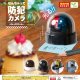 なんちゃって防犯カメラ（７月）【◆３００円カプセルトイ　４０個入り　エール】＋正規台紙
