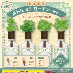 画像1: ボトルDEガーデン－和み－（７月）【◆４００円カプセルトイ　３０個入り　エール】＋正規台紙
