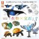 『生物×宝石』3（７月）【◆４００円カプセルトイ　３０個入り　S・ストーンズ】＋正規台紙