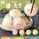 ぷか－ほ…たて－くりあー（７月）【◆２００円カプセルトイ　５０個入り　エール】＋正規台紙