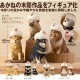 あかねの木彫り　アヒルと犬（７月）【◆５００円カプセルトイ　２０個入り　奇譚クラブ】＋正規台紙