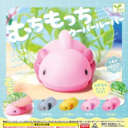 画像1: むちもっちウーパールーパー（７月）【◆２００円カプセルトイ　５０個入り　エール】＋正規台紙