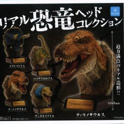 画像1: リアル恐竜ヘッドコレクション（７月）【◆５００円カプセルトイ　２０個入り　クオリア】＋正規台紙