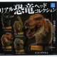 リアル恐竜ヘッドコレクション（７月）【◆５００円カプセルトイ　２０個入り　クオリア】＋正規台紙