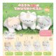 ゆるふわネコのてのひらぬいぐるみ（７月）【◆５００円カプセルトイ　２０個入り　ホットライン】＋正規台紙