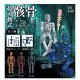 超可動式アクションスケルトン（７月）【◆４００円カプセルトイ　３０個入り　ホットライン】＋正規台紙