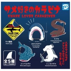 画像1: 再販 サメ好きのカラビナ（７月）【◆３００円カプセルトイ　４０個入り　Ｄｉｓ】＋正規台紙