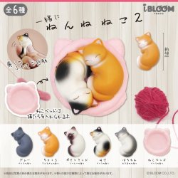 画像1: 一緒にねんね　ねこ２（再販）（７月）【◆３００円カプセルトイ　４０個入り　ブルーム】＋正規台紙