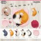 一緒にねんね　ねこ２（再販）（７月）【◆３００円カプセルトイ　４０個入り　ブルーム】＋正規台紙