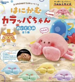 画像1: はにかむカラッパちゃん　ぬいぐるみ（７月）【◆４００円カプセルトイ　３０個入り　ピーナッツ】＋正規台紙