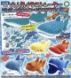 ATC こた サメぬいぐるみ（８月）【□５００円カプセルトイ　２０個入り　いきもん】＋正規台紙