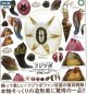 NTC MONO+ フジツボ マグネット&ボールチェーン（８月）【□４００円カプセルトイ　３０個入り　いきもん】＋正規台紙