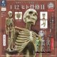 ＳＯ－ＴＡ／□ＴＦＣ　博物モデリング倶楽部・壱 1/12ヒト骨格II（８月）