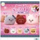 ギャルぽめ（８月）【□４００円カプセルトイ　３０個入り　ウルプラ】＋正規台紙