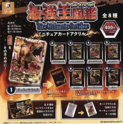 画像1: 最強王図鑑ミニチュアカードアクリル（８月）【□４００円カプセルトイ　３０個入り　SO-TA】＋正規台紙