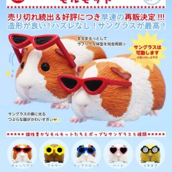 画像1: サングラスをかけたモルモット（再販）（８月）【□４００円カプセルトイ　３０個入り　奇譚クラブ】＋正規台紙