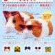 サングラスをかけたモルモット（再販）（８月）【□４００円カプセルトイ　３０個入り　奇譚クラブ】＋正規台紙
