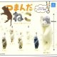 つまんだねこ マスコットボールチェーン (再販)（８月）【□２００円カプセルトイ　５０個入り　クオリア】＋正規台紙