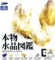 本物水晶図鑑（８月）【□３００円カプセルトイ　４０個入り　レインボー】＋正規台紙