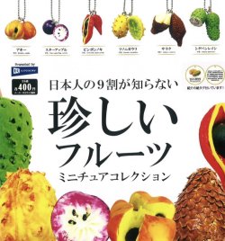 画像1: 日本人の９割が知らない珍しいフルーツミニチュアコレクション（８月）【□４００円カプセルトイ　３０個入り　レインボー】＋正規台紙