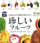 日本人の９割が知らない珍しいフルーツミニチュアコレクション（８月）【□４００円カプセルトイ　３０個入り　レインボー】＋正規台紙