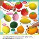 のびのびフルーツ（８月）【□１００円カプセルトイ　１００個入り　共同】＋正規台紙