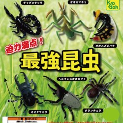 画像1: 最強昆虫再販（８月）【□２００円カプセルトイ　５０個入り　共同】＋正規台紙
