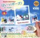 再販サンリオキャラクターズ はいっ！ポーズ！キーホルダー（８月）【□３００円カプセルトイ　４０個入り　ベネリック】＋正規台紙