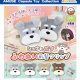 シュナとボブふわぬい前髪クリップ（９月）【■３００円カプセルトイ　４０個入り　アミューズ】＋正規台紙