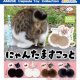 にゃんたますこっと（９月）【■３００円カプセルトイ　４０個入り　アミューズ】＋正規台紙