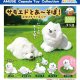 サモエドとあーそぼ芝生付きフィギュア（９月）【■３００円カプセルトイ　４０個入り　アミューズ】＋正規台紙
