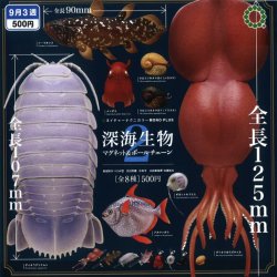 画像1: NTC MONO+ 深海生物 マグネット&ボールチェーン２（９月）【■５００円カプセルトイ　２０個入り　いきもん】＋正規台紙