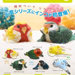 画像1: ことりの休日　くつろぎインコ（９月）【■４００円カプセルトイ　３０個入り　奇譚クラブ】＋正規台紙