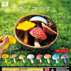 画像1: キノコです。（再販）（９月）【■３００円カプセルトイ　４０個入り　エール】＋正規台紙
