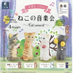 画像1: ＳＯ－ＴＡ／■ＴＦＣ　花房さくらのねこの音楽会（９月）