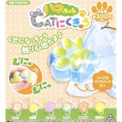 画像1: ハマっちゃう！CATにくきゅう（９月）【■３００円カプセルトイ　３６個入り　ビーム】＋正規台紙