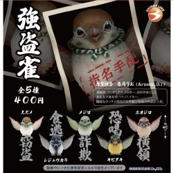 画像1: 強盗雀（９月）【■４００円カプセルトイ　３０個入り　ブライトリンク】＋正規台紙