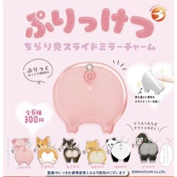 画像1: ぷりっけつ　ちらり見スライドミラーチャーム（９月）【■３００円カプセルトイ　４０個入り　ブライトリンク】＋正規台紙