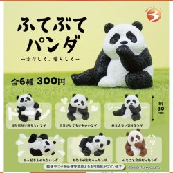 画像1: ふてぶてパンダ（９月）【■３００円カプセルトイ　４０個入り　ブライトリンク】＋正規台紙